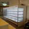 Fast Cooling 10ft 2500L Commercial Wall Mount Refrigerator
