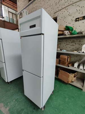 Commercial Upright Fridge Marine Bullet Foot Fridge Customized Kitchen Freezer With 120V/60Hz