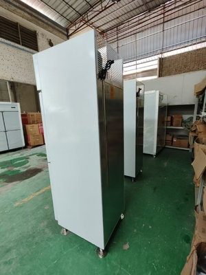 Commercial Upright Fridge Marine Bullet Foot Fridge Customized Kitchen Freezer With 120V/60Hz