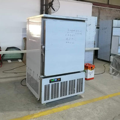 S/S201 10 Trays Tecumseh Commercial Blast Freezers