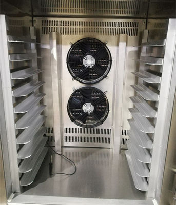 S/S201 10 Trays Tecumseh Commercial Blast Freezers