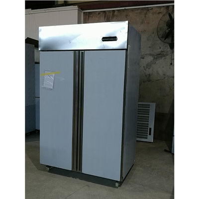 Yxfridge Double Door Stainless Steel Commercial Freezer