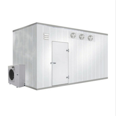 380V 50Hz LCD display Walk In Cooler Freezer
