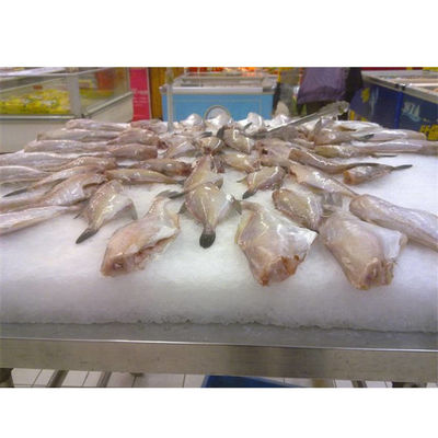 Full Capacity Danfoss Flake Ice Maker For Seafood