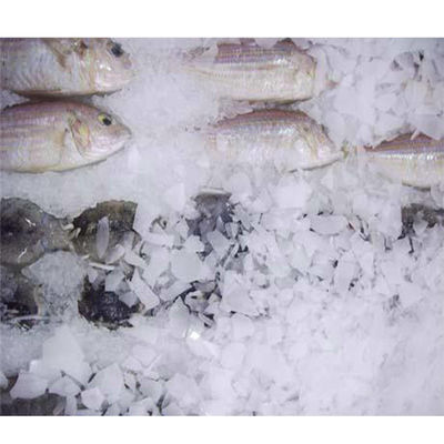 Yxfridge 1000KG/24hrs Flake Ice Making Machine For Seafood