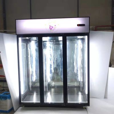 3 Glass Door 600W Custom Commercial Refrigerator