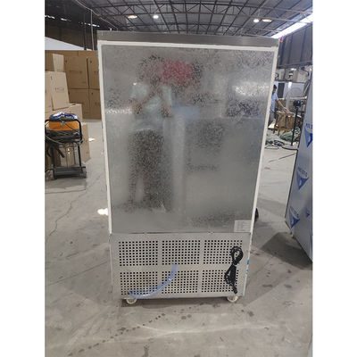 110V 60Hz 2400W 10 Pans Commercial Blast Freezer Fan Cooling